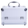 Aluminum Makeup Train Case Jewelry Box Cosmetic Organizer with Mirror 9"x6"x6" RT